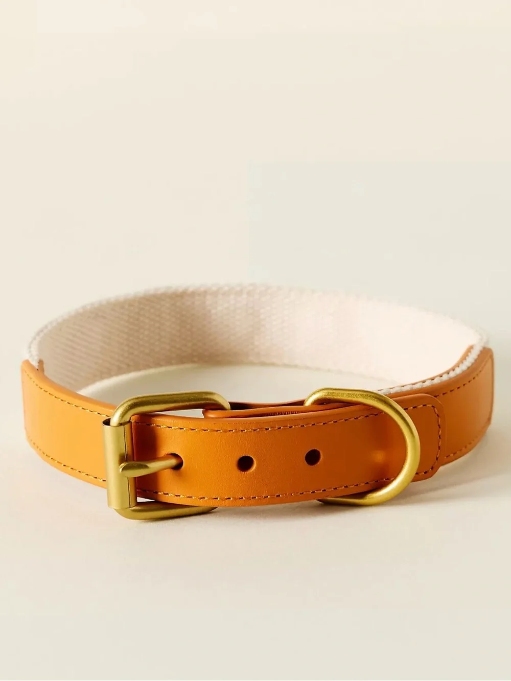 NWT Anthropologie Lemon Embroidered Canvas + Leather Dog Collar .Size Large